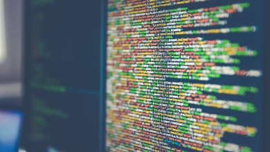 Photo of Crypto Scams Are On The Rise – How Can Businesses Protect Themselves?