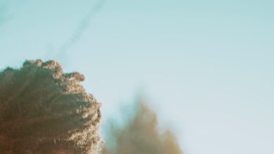 Photo of When Is It the Best Option to Sell a Life Insurance Policy