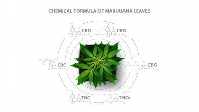 Photo of Cannabinoids and Temperature: Basic Guide