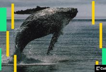 Photo of Massive leveraged bets show crypto traders are convinced this week’s rally is the real deal