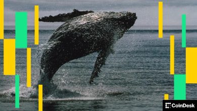 Photo of Massive leveraged bets show crypto traders are convinced this week’s rally is the real deal