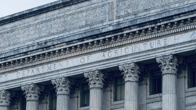 Photo of USDA Ends $300M Program Aiding Black Farmers And Other Underrepresented Groups In Land Purchases – AfroTech