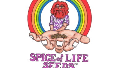 Photo of Spice of Life Seeds, the return of a legendary seed bank- Alchimia Grow Shop
