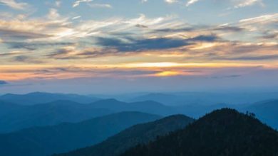 Photo of Why Smoky Mountain Cabins Continue to Outperform Traditional Rentals