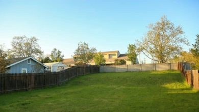 Photo of The Essential Elements of a Truly Low Maintenance Backyard