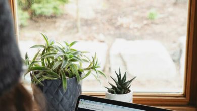 Photo of What Works Better for Your Brand