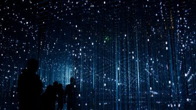 Photo of Technology as the Key to Greater Equality