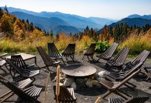 Photo of Keys to a Positive Psychedelic Experience- Alchimia Grow Shop