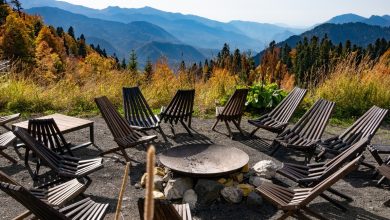 Photo of Keys to a Positive Psychedelic Experience- Alchimia Grow Shop