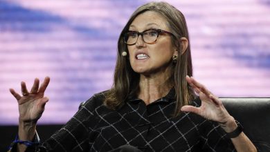 Photo of ARKK Let’s You Bet Big on Crypto Infrastructure With Top Disruptors In 2026