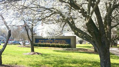 Photo of Audit Finds NC A&T Wrongfully Awarded $5M In Aid To Students With Personal Or Professional Ties To The University – AfroTech