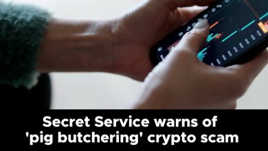 Photo of Secret Service warns of ‘pig butchering’ crypto scam