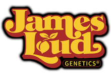 Photo of James Loud Genetics and the revolution of modern breeding- Alchimia Grow Shop