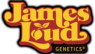 Photo of James Loud Genetics and the revolution of modern breeding- Alchimia Grow Shop