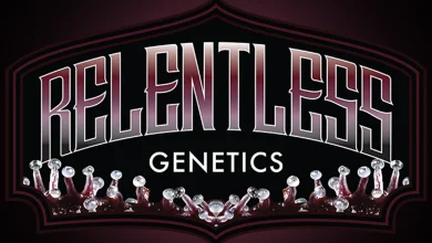 Photo of Discover Relentless Genetics, an American seed bank obsessed with quality- Alchimia Grow Shop