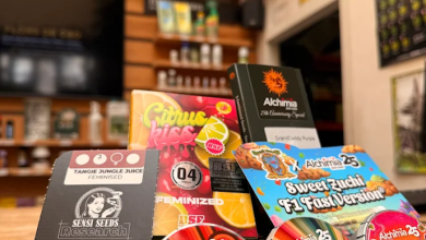 Photo of Exclusive seeds from Alchimia’s 25th anniversary you can’t miss- Alchimia Grow Shop