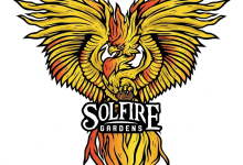 Photo of American seed bank Solfire Genetics, a commitment to pheno hunting- Alchimia Grow Shop
