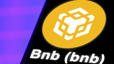 Photo of Baiya Renames Crypto Strategy After $1 Million BNB Allocation
