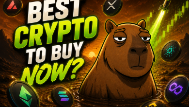 Photo of Best Crypto to Buy in 2026: $GRUNTLE Presale Holds as XLM Surges 10% and VanEck Launches BNB ETF
