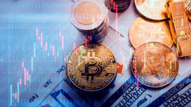 Photo of Circle Internet Stock Is Up 68% in 2026: Is It Outperforming Other Crypto Stocks Like Strategy and Bitmine?