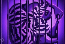 Photo of Crypto Influencer Impersonator Sentenced to 15 Months in Staking Scam