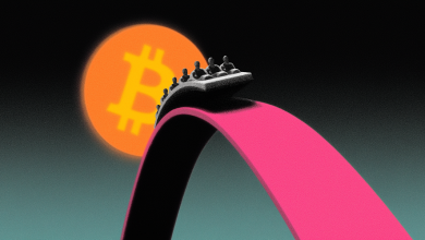 Photo of Why Crypto Bled and Bounced