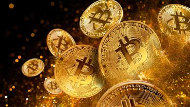 Photo of Both Institutions and Retail Are Buying and Holding Crypto Despite Bitcoin’s 50% Pullback