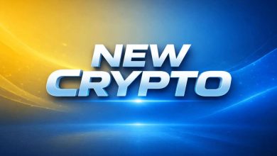 Photo of New Crypto Pepeto Announces Cross-Chain Bridge Connecting Ethereum, BNB Chain, and Solana