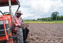Photo of $127M In Cancelled Grants Restored From USDA’s Increasing Land, Capital, And Market Access Program – AfroTech