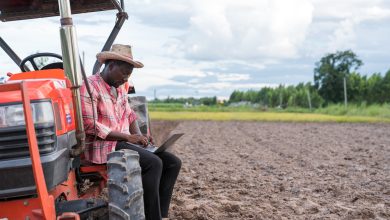 Photo of $127M In Cancelled Grants Restored From USDA’s Increasing Land, Capital, And Market Access Program – AfroTech