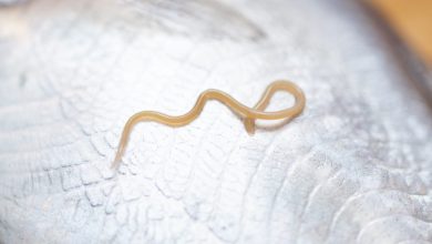 Photo of ALERT: New Parasite Causing ‘Explosive’ Diarrhea Across the U.S. – BlackDoctor