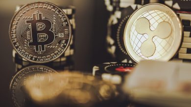 Photo of Dollar-Cost Averaging Into Bitcoin vs XRP Since the 2025 Peak: Which Crypto Held Up Better?