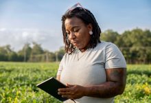 Photo of More Americans Are Turning To Local Black Farms For Fresh Produce During Cyclospora Outbreak – AfroTech