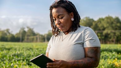 Photo of More Americans Are Turning To Local Black Farms For Fresh Produce During Cyclospora Outbreak – AfroTech