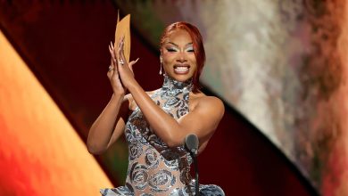 Photo of Megan Thee Stallion Partners With Interscope Records For Global Distribution Deal — Here’s What It Entails – AfroTech