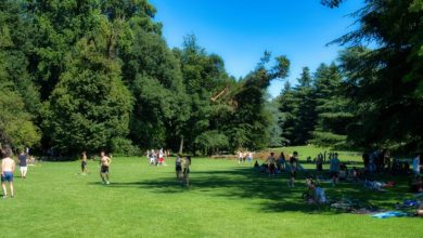 Photo of Smart Budgeting for Family Fun Activities