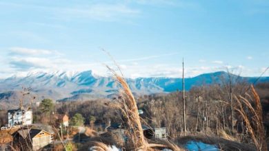 Photo of What to Know Before Your First Smoky Mountain Vacation