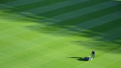 Photo of Smart Watering Habits for a Healthier Lawn