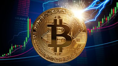 Photo of Crypto Winter Melts: Biggest Weekly Crypto ETF Buying Spree Since the October Flash Crash