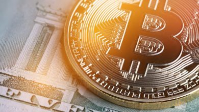 Photo of Crypto Treasury Stocks Rally as Bitcoin Fund Jumps 5%: Strategy Surges 14%, Bitmine Climbs 12%