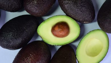 Photo of Avocado: America’s Most Powerful Fruit – BlackDoctor